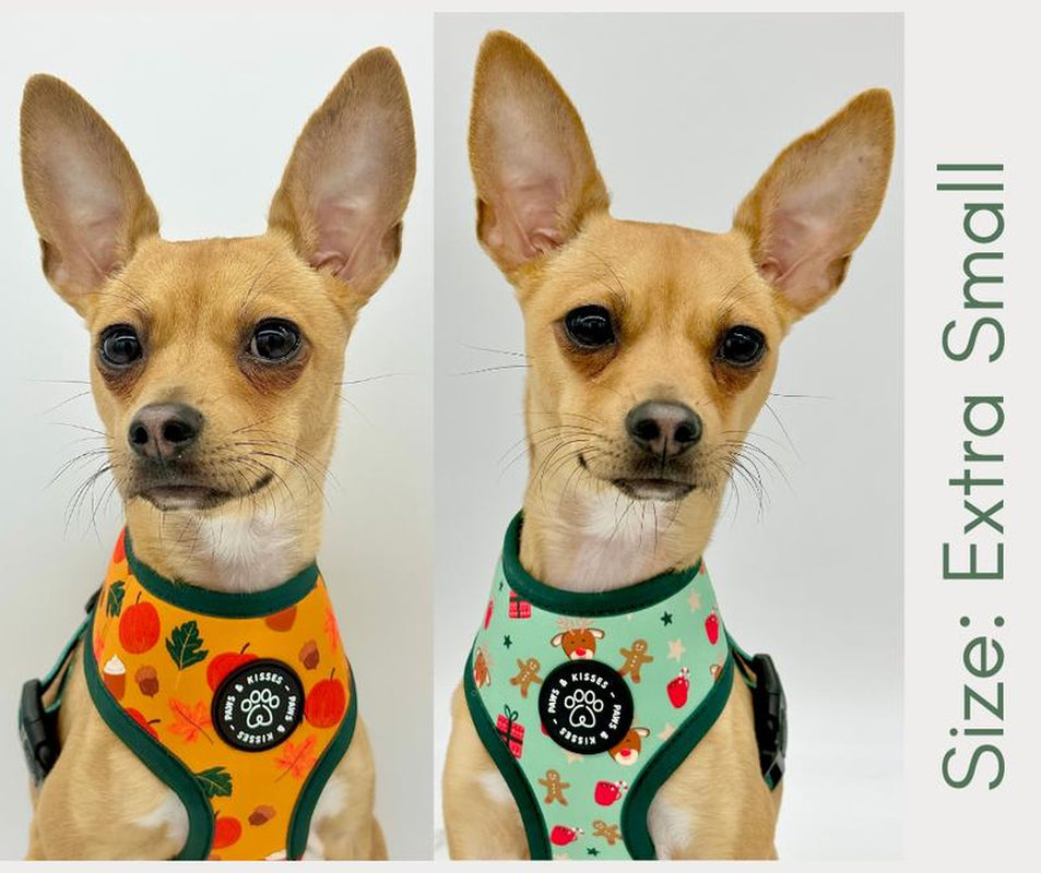 Fall to Christmas Reversible Harness