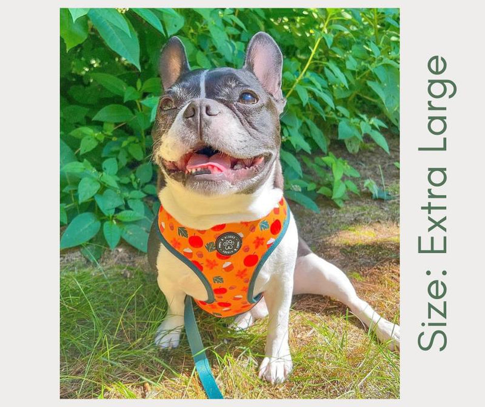 Fall to Christmas Reversible Harness