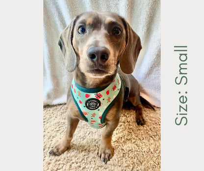Fall to Christmas Reversible Harness