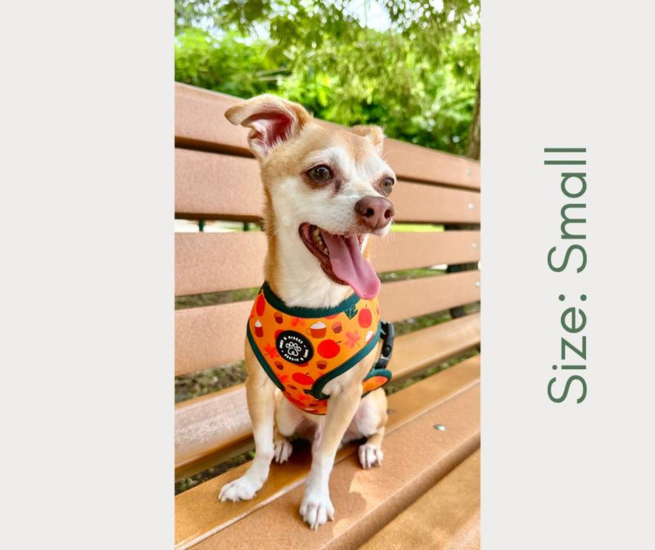 Fall to Christmas Reversible Harness