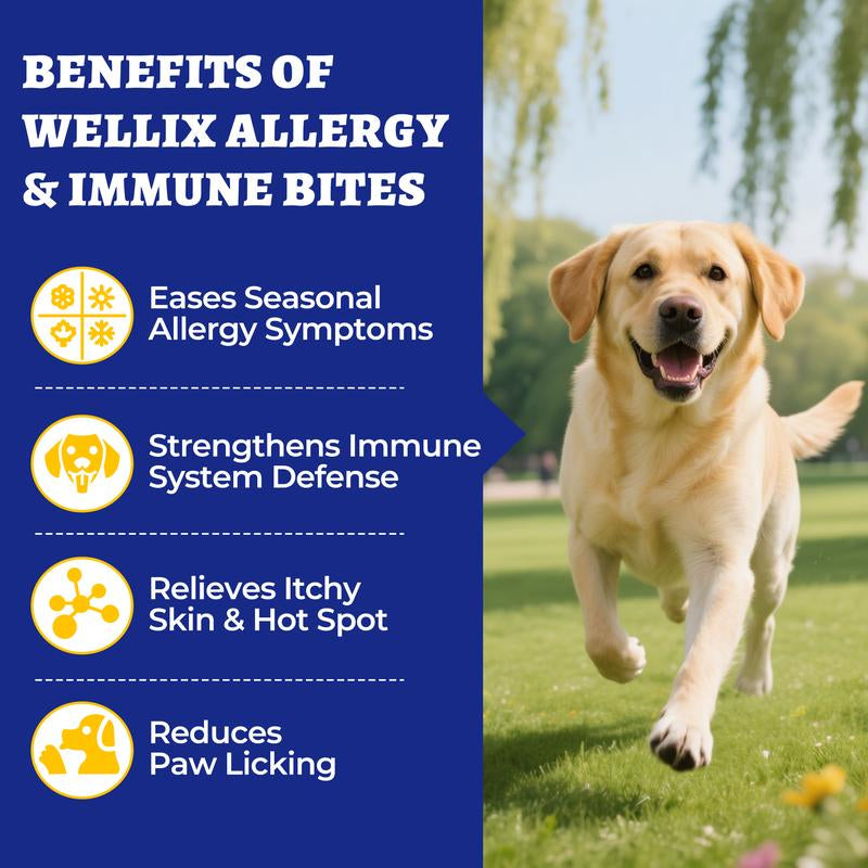 Wellix 260-Count Dog Allergy Relief Chews - Dog Allergy and Itching Skin Relief & Immune Support for Itchy Skin and Itchy Ears, 100% Natural Ingredients