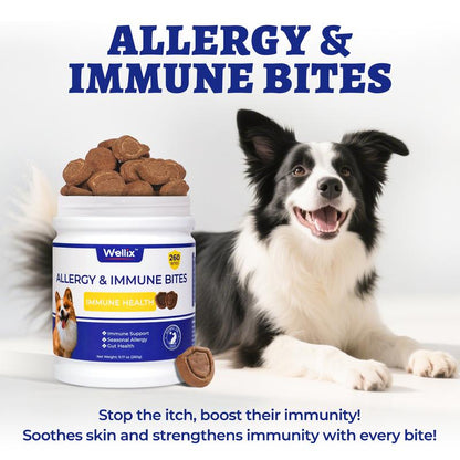 Wellix 260-Count Dog Allergy Relief Chews - Dog Allergy and Itching Skin Relief & Immune Support for Itchy Skin and Itchy Ears, 100% Natural Ingredients