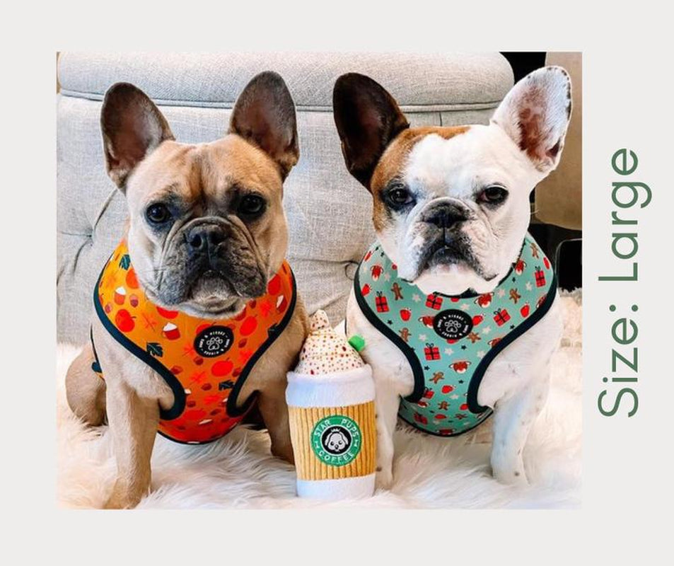 Fall to Christmas Reversible Harness